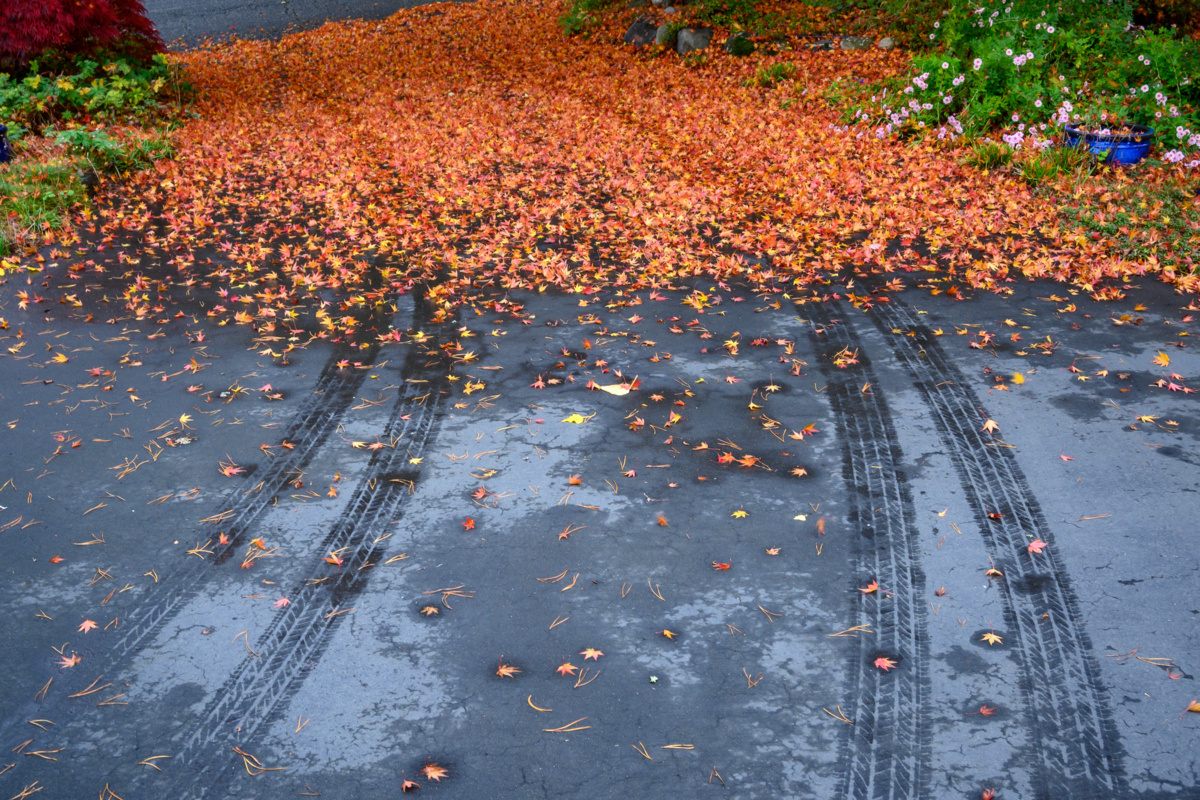 Blacktop Driveway Care: Do’s, Don’ts, and Maintenance Essentials
